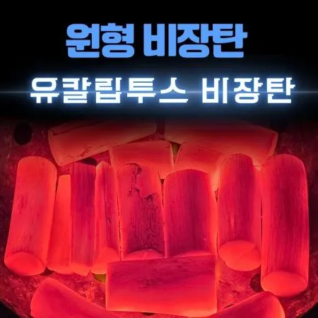 [비제이무역 밝은참숯] 유칼립투스 비장탄 (사이즈 M+)