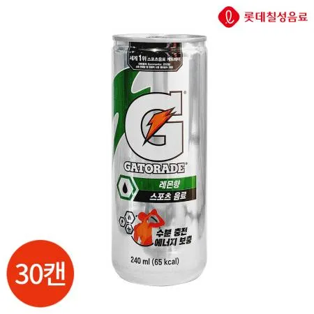 롯데 게토레이 240ml X30캔