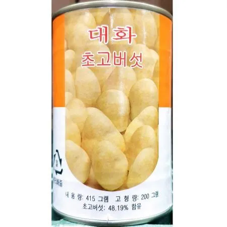 초고버섯캔 (대화 415g) 업소용 이미지