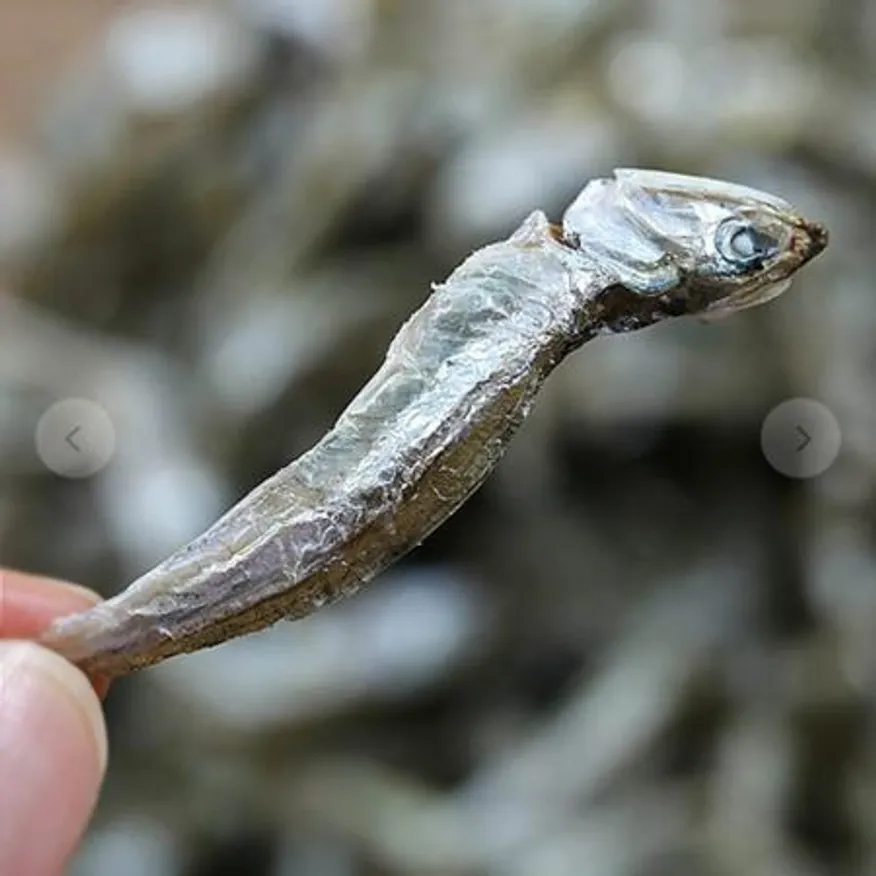 고추장멸치 볶음조림용멸치 300g 업소용 이미지