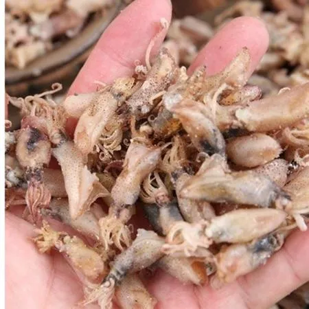 꼴뚜기 마른꼴뚜기 건꼴뚜기 100g 업소용