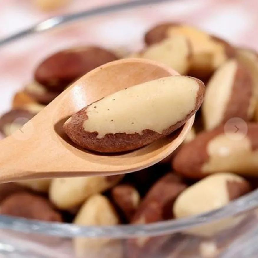 브라질너트 1kg 대용량 파는곳 페루산 업소용 이미지