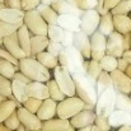 튀김땅콩 양념땅콩 200g 업소용