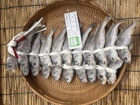 [당일발송] 영광굴비 20미 1.3kg (9두름/1박스)