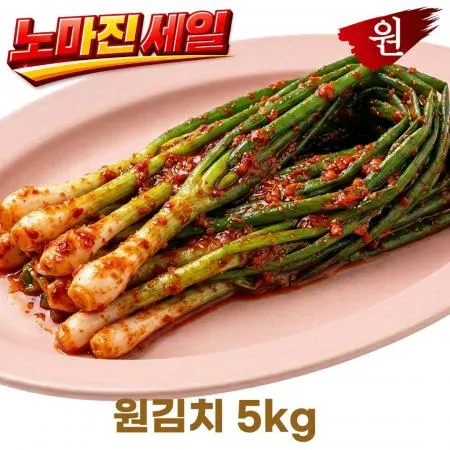 원김치 쪽파김치 5kg 알싸한 풍미 아삭한 식감 대용량 업소용 아이스박스 이미지