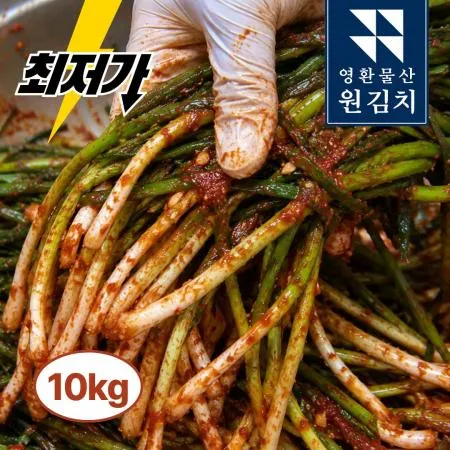 원김치 쪽파김치 10kg 가성비 대용량 알싸한 풍미 아삭한 식감 업소용 아이스박스 이미지