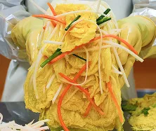 원김치 백김치 10kg 아삭하고 깔끔한 감칠맛 업소용 대용량 가성비 아이스박스 이미지