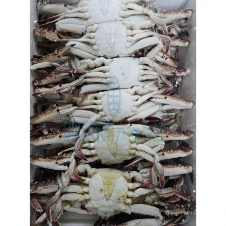 (16:30마감(D) 통꽃게(중국산/냉동/4KG)BOX