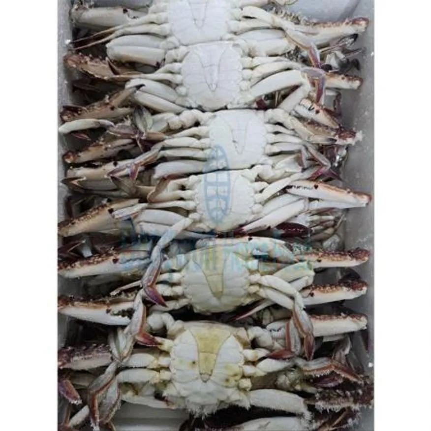 (16:30마감(D) 통꽃게(중국산/냉동/4KG)BOX 이미지