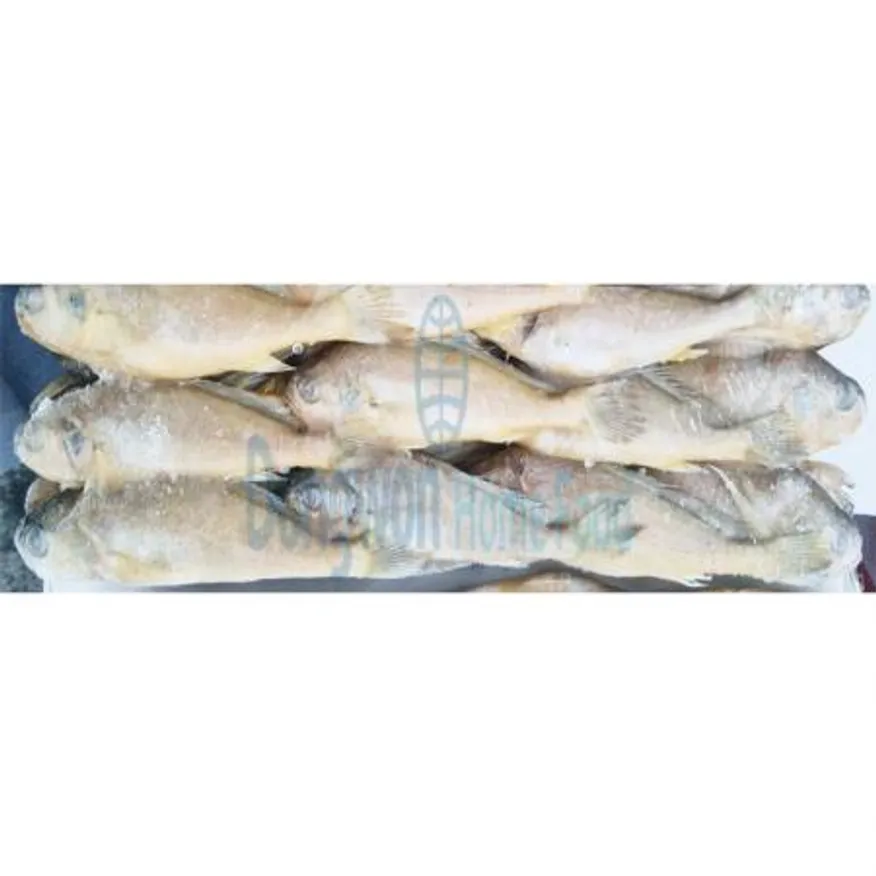 (16:30마감(D) 참조기(중국산/냉동/85g내외*40~42미/3.5kg)BOX 이미지