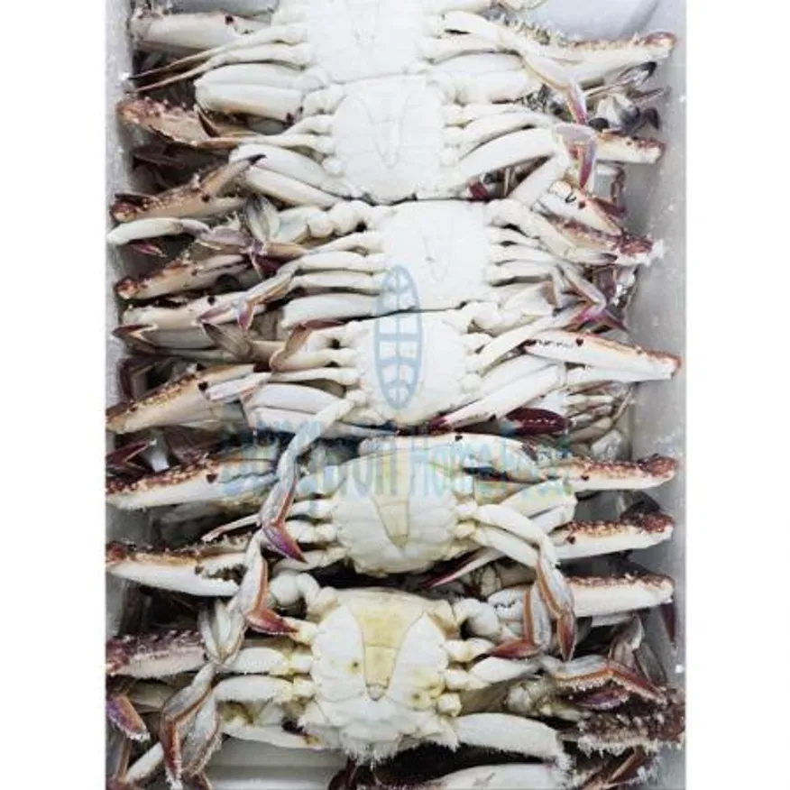 (16:30마감(D) 숫꽃게(중국산/냉동/21~23미/4kg)BOX 이미지