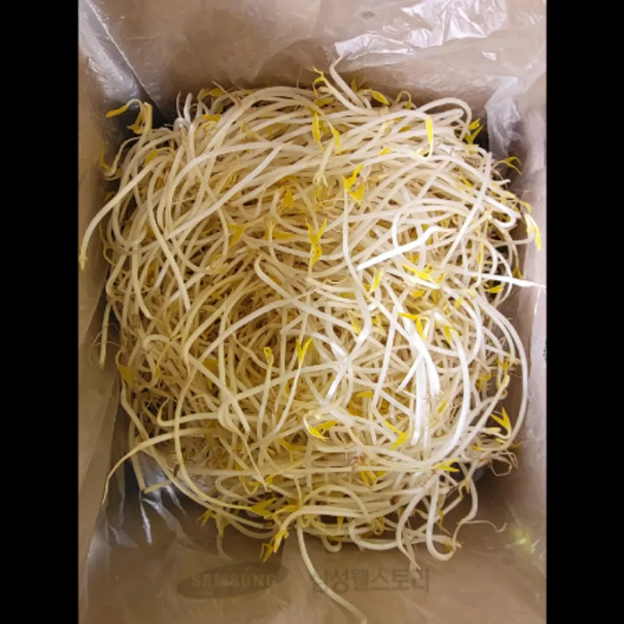 (16:30마감)곱슬콩나물(4KG/BOX/소이원/중국/캐나다산/콩:미국) 이미지