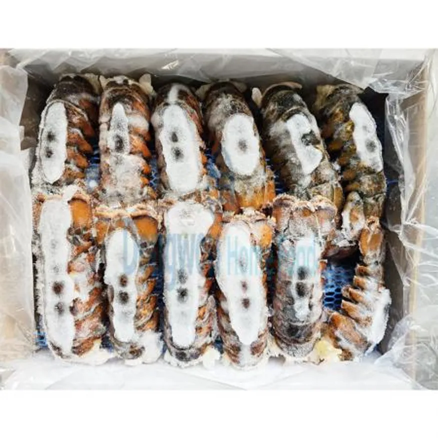 (16:30마감(D) 랍스터테일(캐나다산/냉동/4OZ/비자숙/4.54KG)BOX 이미지