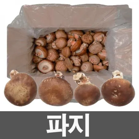 표고버섯[파지](박스/8kg내외/국내산)