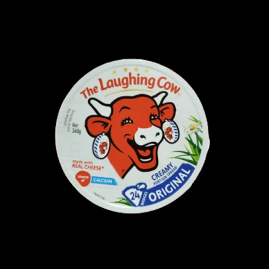 코스트코/THE LAUGHING COW-래핑카우 플레인포션치즈 120G x 3 이미지
