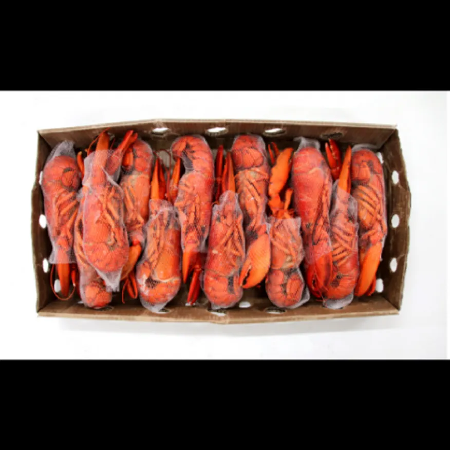 (16:30마감)냉동랍스터홀(4.54KG(400~450G/EA)/BOX/자숙/캐나다산) 이미지