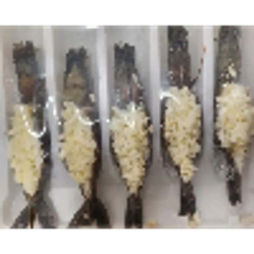 (16:30마감)냉동(O)치즈블랙타이거새우,베트남산,오뚜기,200G(40G*5EA)/PAC 이미지