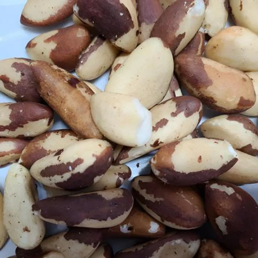 (16:30마감(D) 브라질너트(페루산/1KG)EA 이미지