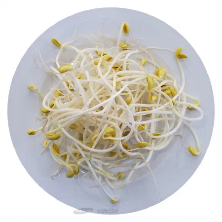 (16:30마감)곱슬콩나물(해오름/1KG/EA/콩:중국산) 이미지