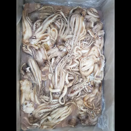 (16:30마감)오징어다리(일렉스종자/10KG/BOX/원양산) 이미지