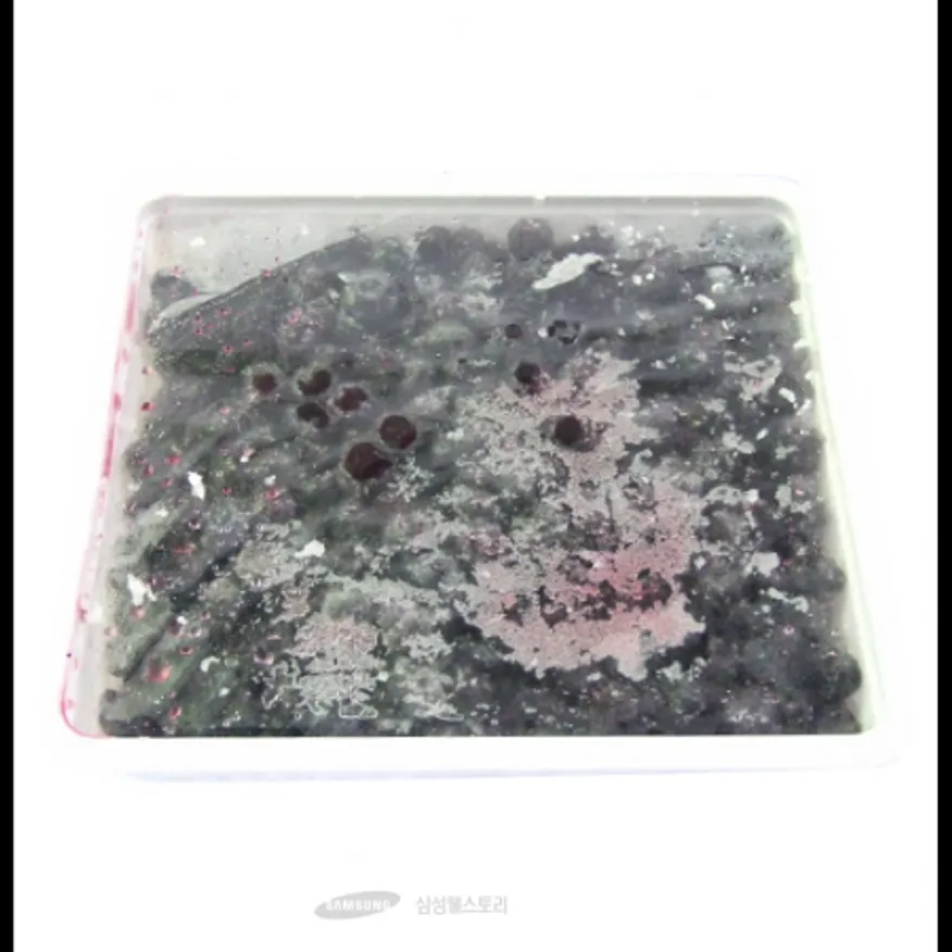 (16:30마감)당적블루베리(750G/EA/칠레산/선인) 이미지