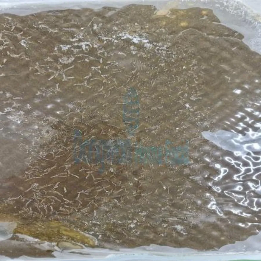 (16:30마감(D) 전복내장(국내산/냉동/갈아만든/1kg)EA 이미지