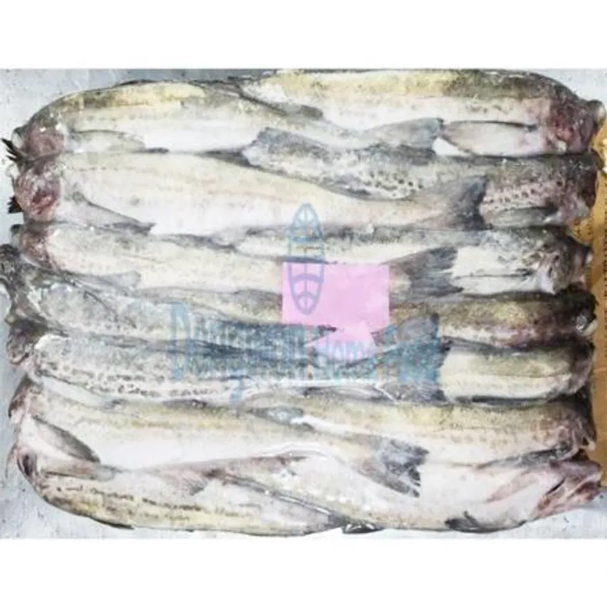 (16:30마감(D) 동태(러시아산/냉동/8통/약36미내외/21.5kg)BOX 이미지