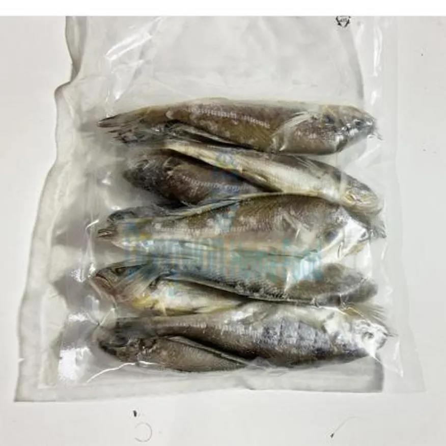 (16:30마감(D) 영광굴비(국산/냉동/90g내외*20미/1.8kg)EA 이미지