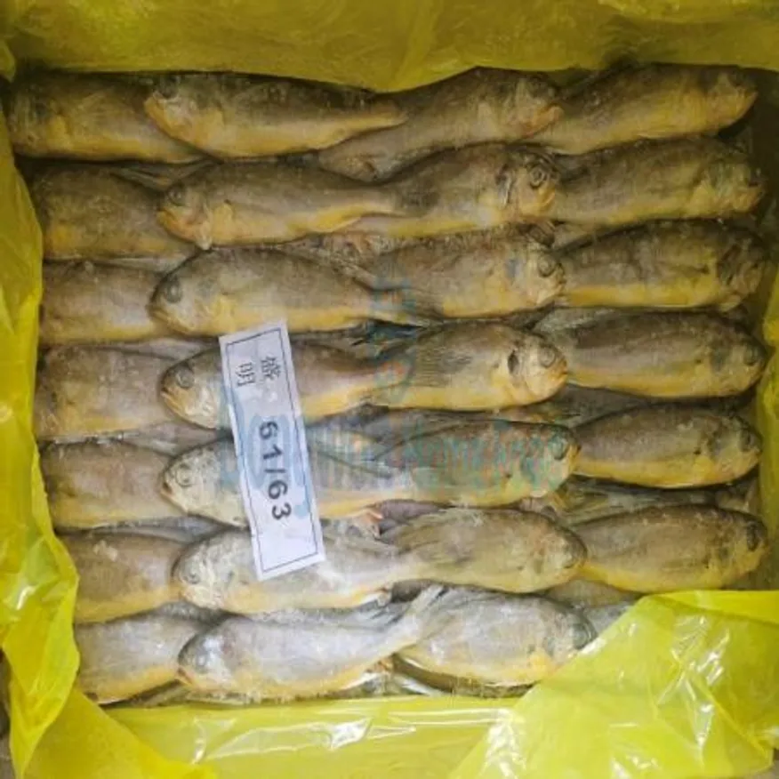 (16:30마감(D) 참조기(중국산/냉동/50~52미/2.5kg)BOX 이미지