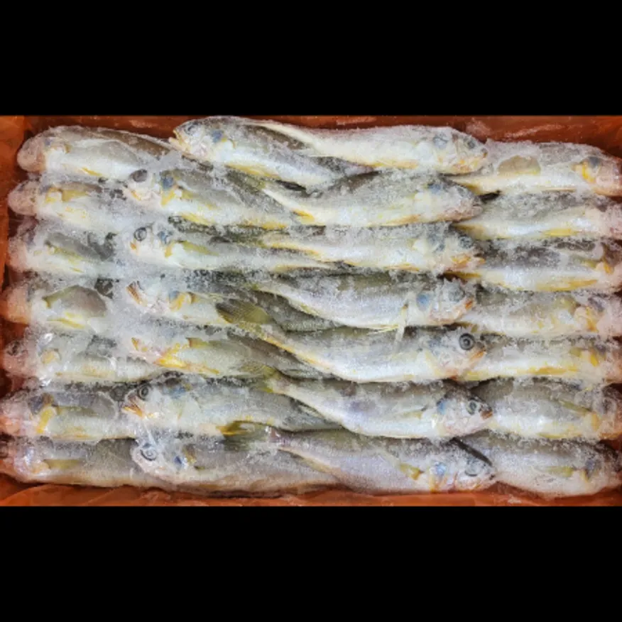 (16:30마감)참조기(3.5KG/UP(55~65G/EA)/BOX/국산) 이미지