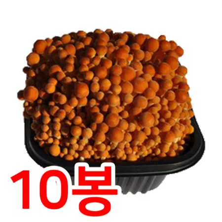 황금팽이버섯(박스/200g*10개/국내산)