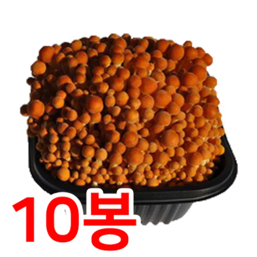 황금팽이버섯(박스/200g*10개/국내산) 이미지