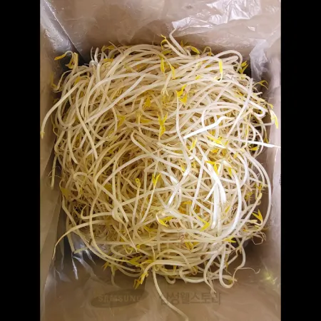 (16:30마감)숙주나물(4KG/BOX/녹두:외국산) 이미지