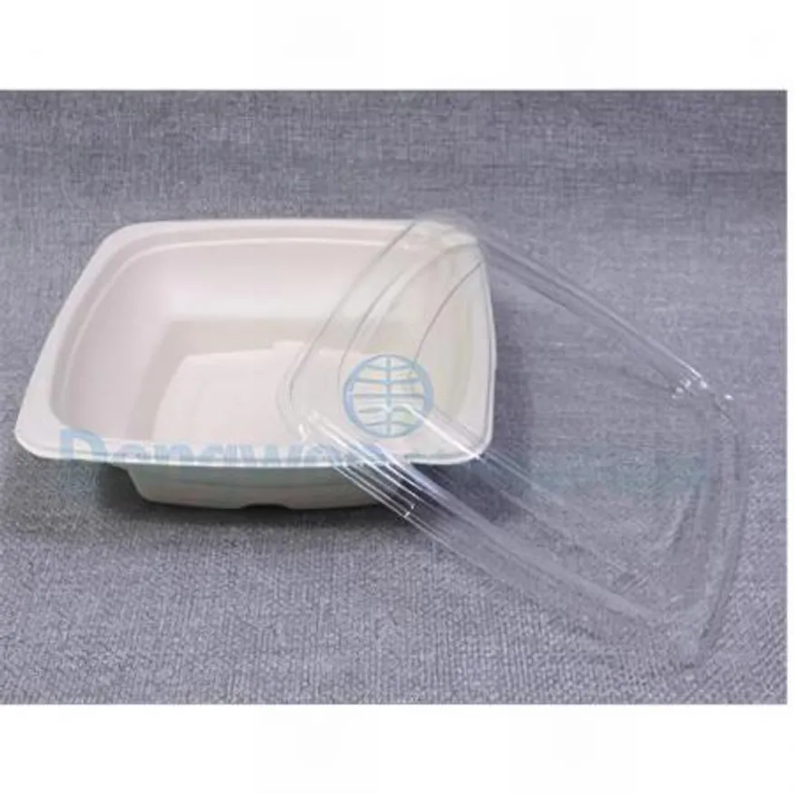 (16:30마감(D) 펄프용기(정사각/24oz/용기/180*180*54/펄프/300입)BOX 이미지