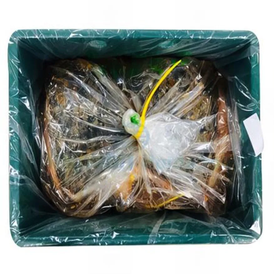 (16:30마감(D) 맛김치(배추:국산/고춧가루:국산/소금:국산/선농/중숙/5kg/볶음용)BO 이미지
