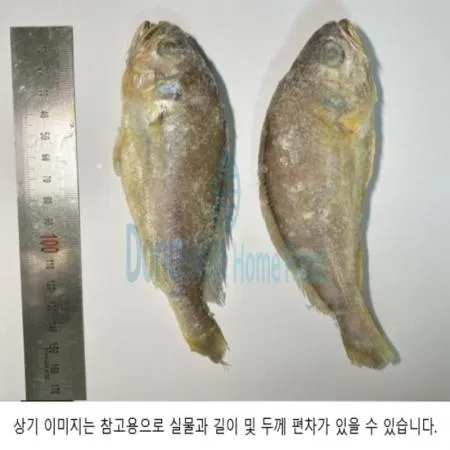 (16:30마감(D) 참조기(중국산/냉동/선별/IQF/50~60G/마리)EA 이미지