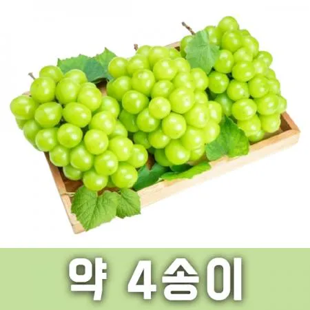 샤인머스켓(박스/2kg내외/국내산)