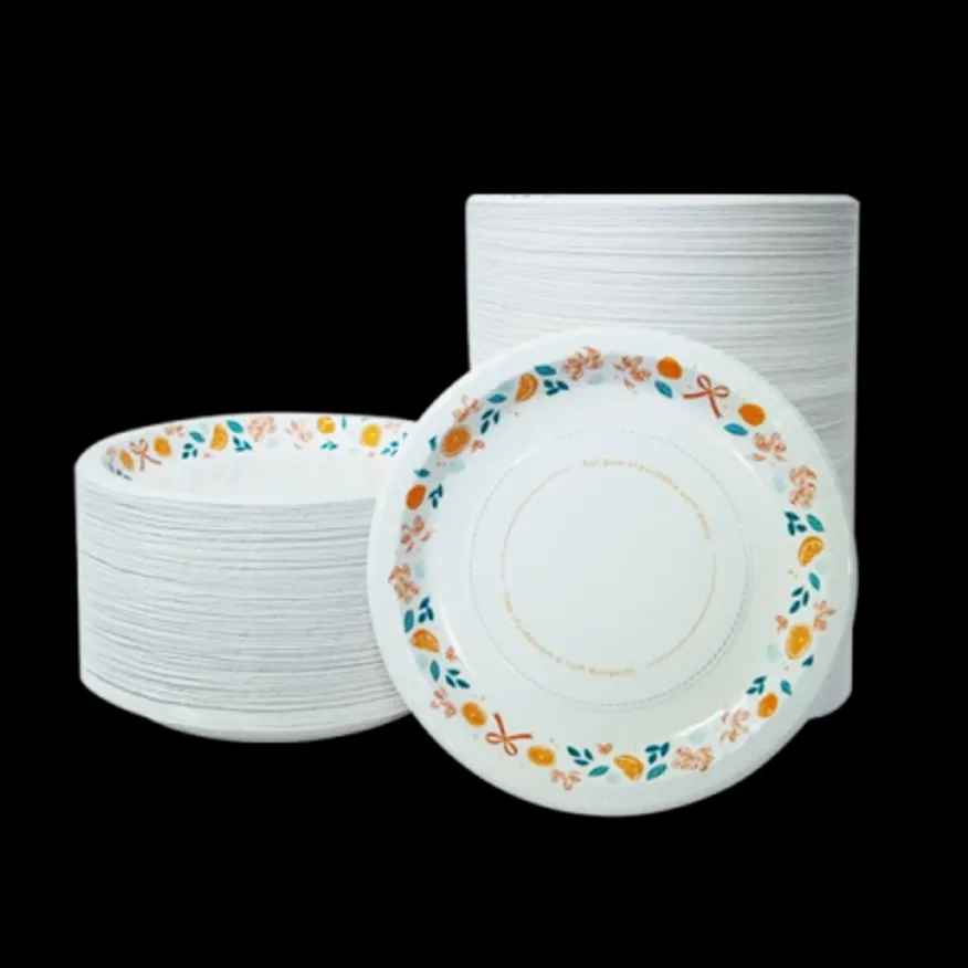 코스트코/삼풍 종이접시 26CM x 120매 (대) 이미지