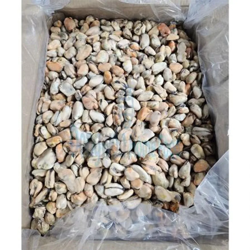 (16:30마감(D) 홍합살(중국산/냉동/자숙/200-300/10KG/BULK)BOX 이미지