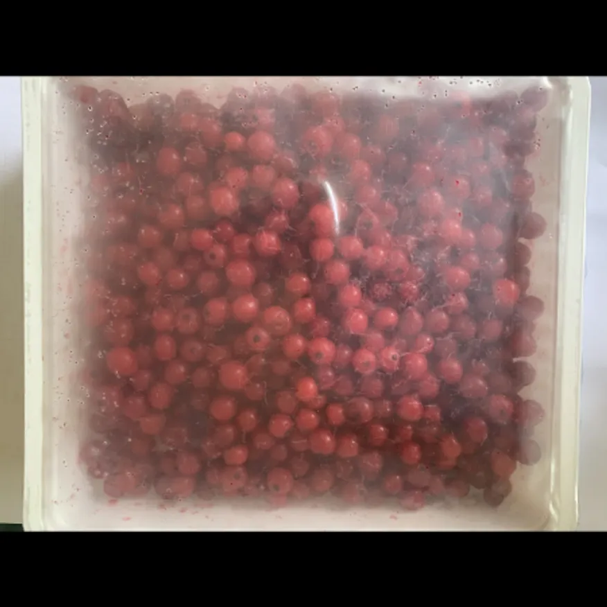 (16:30마감)냉동레드커런트(500G/PAC/폴란드산) 이미지