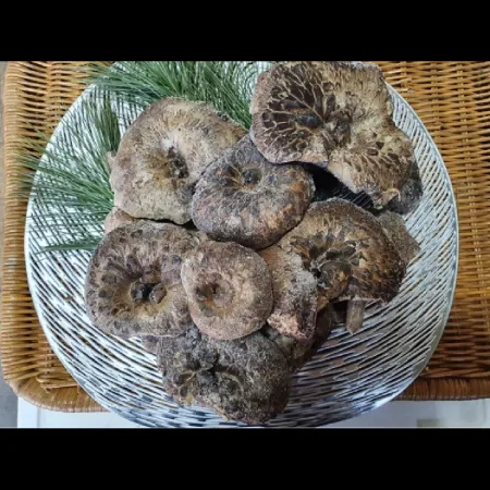 (16:30마감)냉동능이버섯(1KG/PAC/10~15CM/중국산)