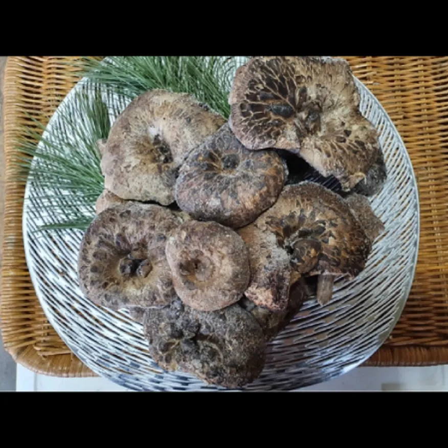(16:30마감)냉동능이버섯(1KG/PAC/10~15CM/중국산) 이미지