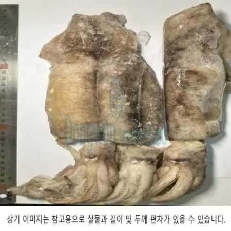 (16:30마감(D) 오징어(중국산/냉동/베이트/10-11미/3KG)BOX 이미지