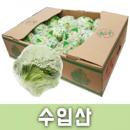 포장양상추(박스/10~12개/중국산)