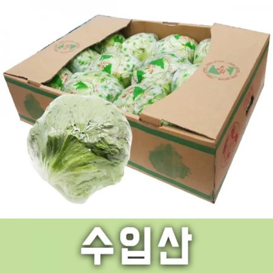 포장양상추(박스/10~12개/중국산) 이미지