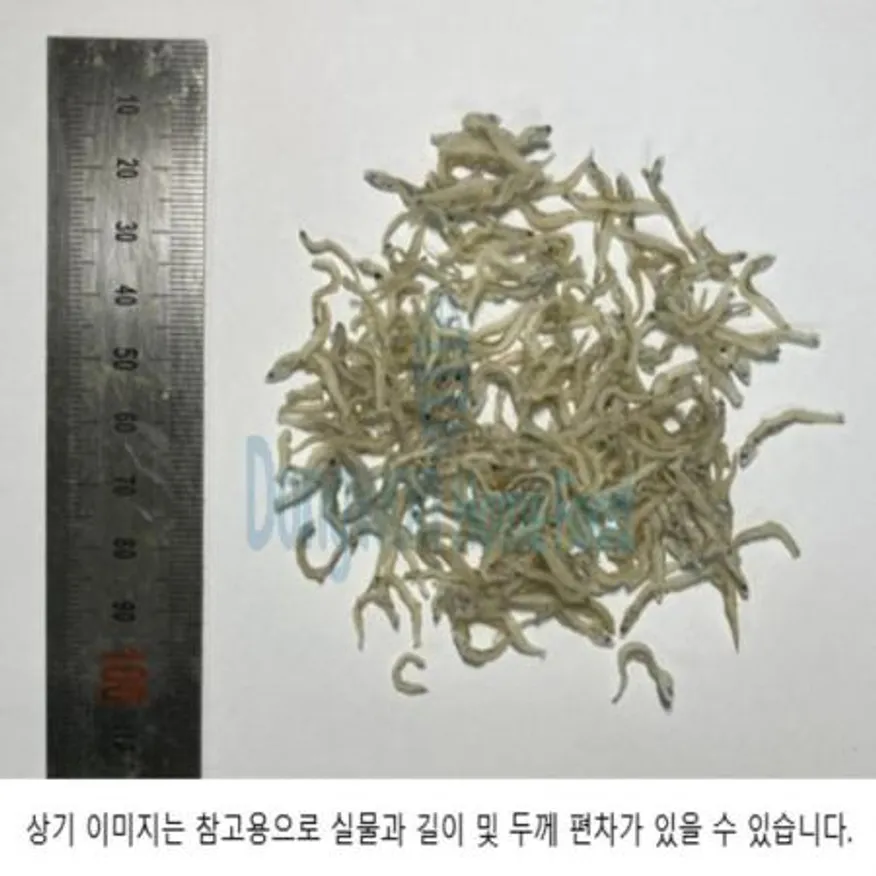 (16:30마감(D) 지리멸치(국내산/실온/선별/일반/볶음용/1KG)EA 이미지