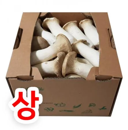 새송이버섯(박스/2kg내외/국내산/상급)
