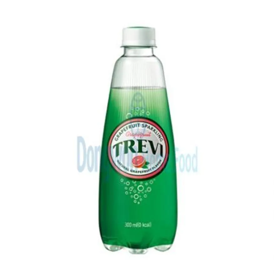 (16:30마감(D) 트레비자몽(롯데칠성/PET/300ML*20EA)BOX 이미지