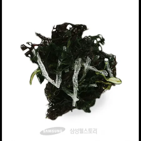 (16:30마감)건모듬해초(비빔밥용/상/150G/PAC/15인분/국내산) 이미지
