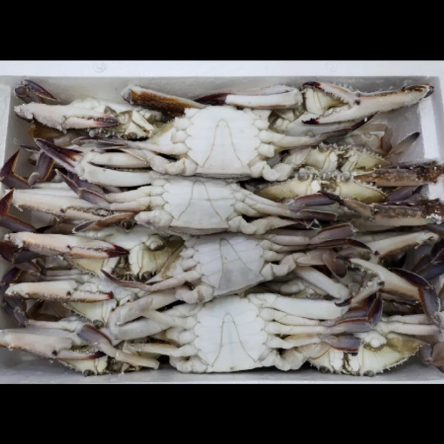 (16:30마감)냉동꽃게(200~300G/미/4KG(16미내외)/BOX/중국산) 이미지